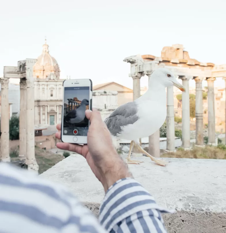 Мужчина фотографирует чайку