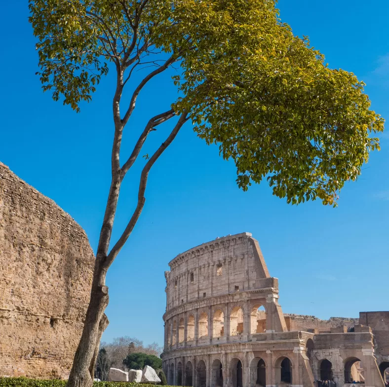 Колизей снаружи